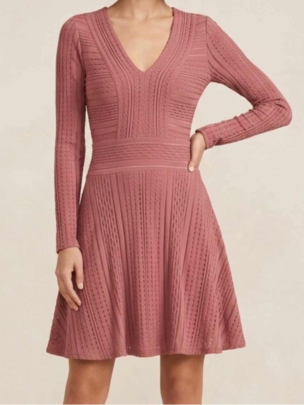 BCBGMAXAZRIA Kinley Knit Fit & Flare Dress NWT Size XXS Sepia Rose Long Sleeve